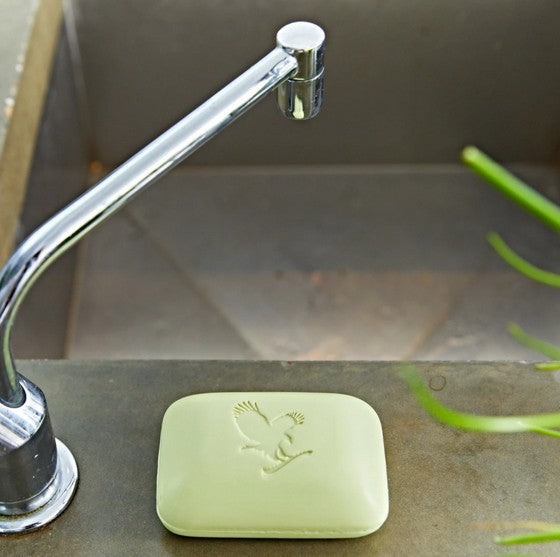 Aloe avocado face and body soap , Aloe vera , Savon Corps et Visage à l'Aloe et à l'Avocat , Forever , savon , vente de produit en ligne , vannes , morbihan , 56